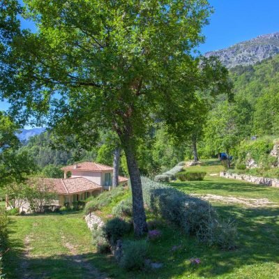 Le jardin de Luiggi